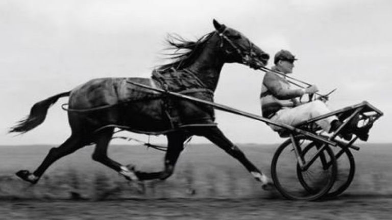 Risk Scores: Putting the Horse Behind the Cart